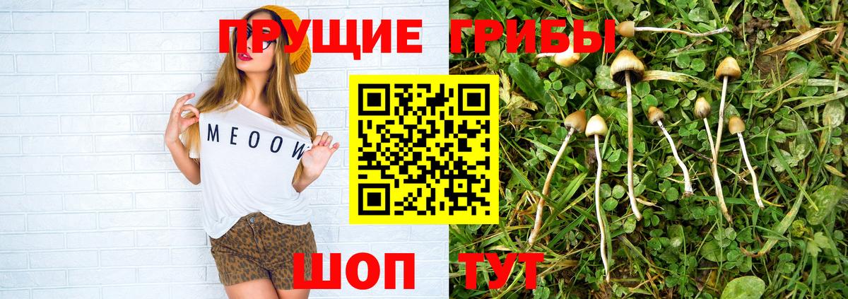 Галлюциногенные грибы GOLDEN TEACHER  Вход с VPN  где купить наркотик  Тара 