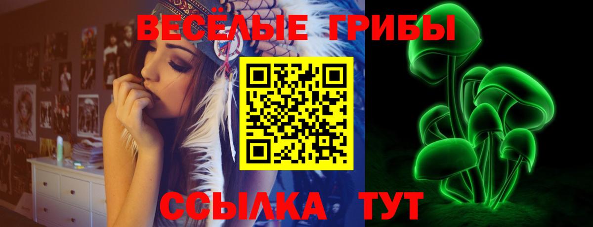 МЕФ Тара