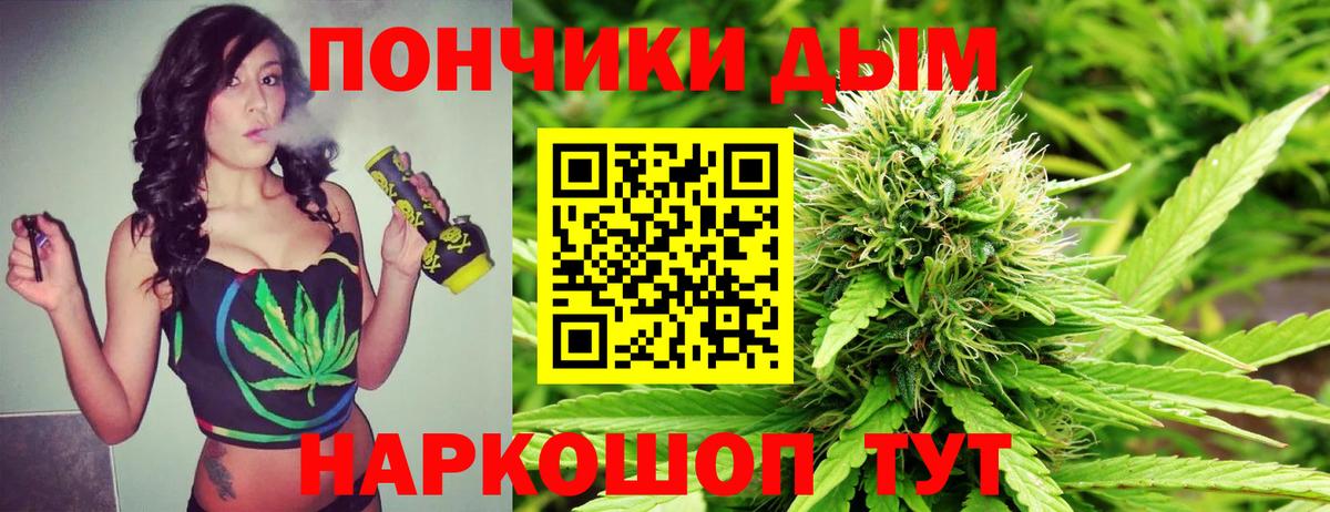 МАРИХУАНА сатива Тара